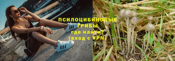 мескалин Арсеньев