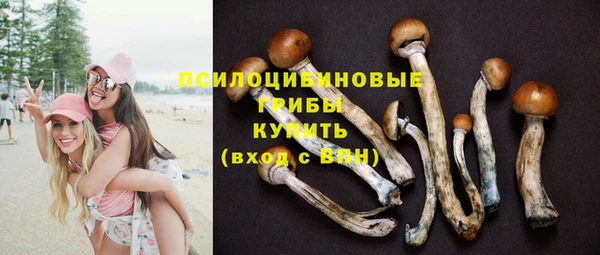 мескалин Арсеньев